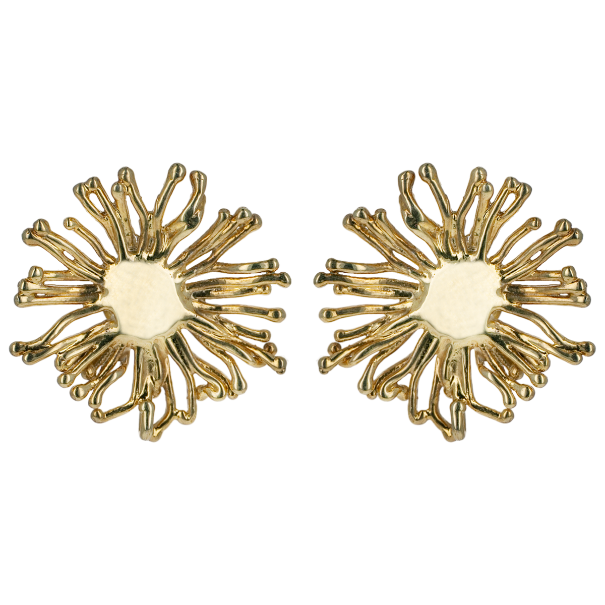 Single Wish Clip Earrings
