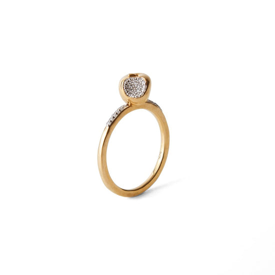 Equal To The Core gold-plated Apple ring by Pavé The Way® Jewelry